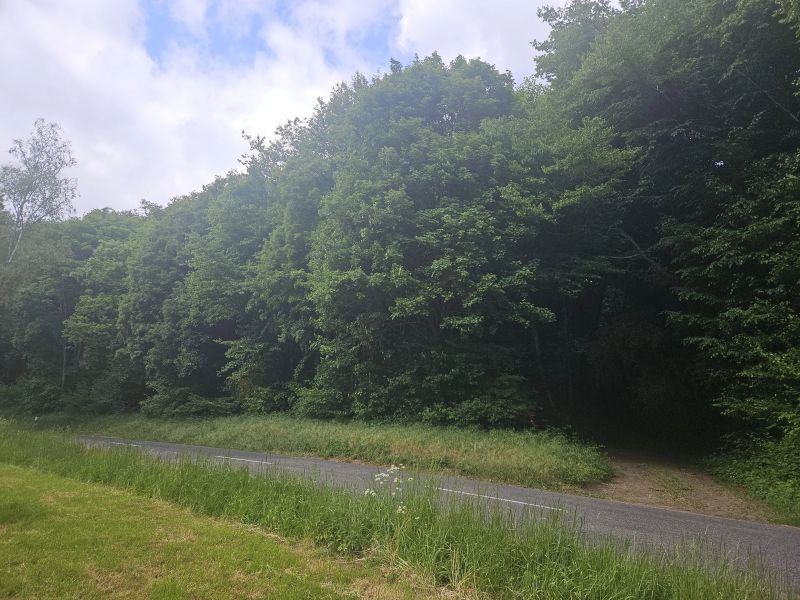 Land to sell in Bockholtz