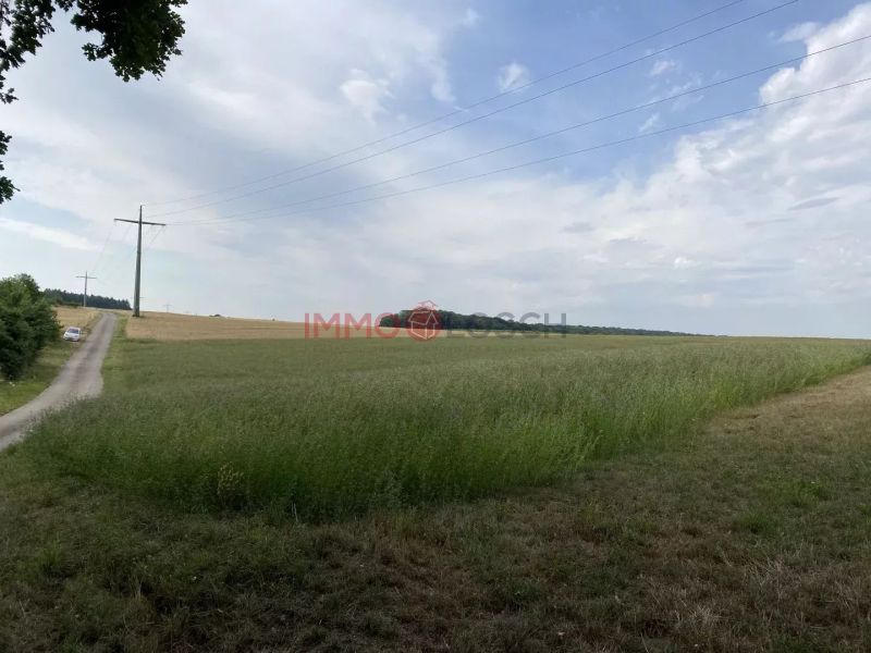 Land to sell in Syren