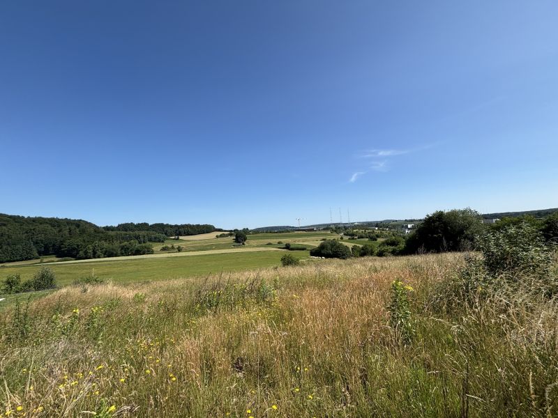 Building land to sell in Gonderange