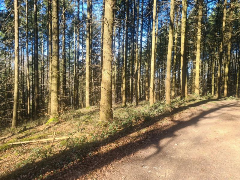 Land to sell in Angelsberg