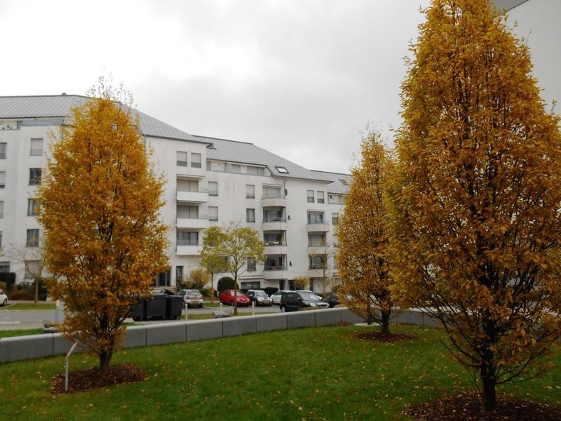 Apartment with 1 room to sell in Luxembourg-Cents