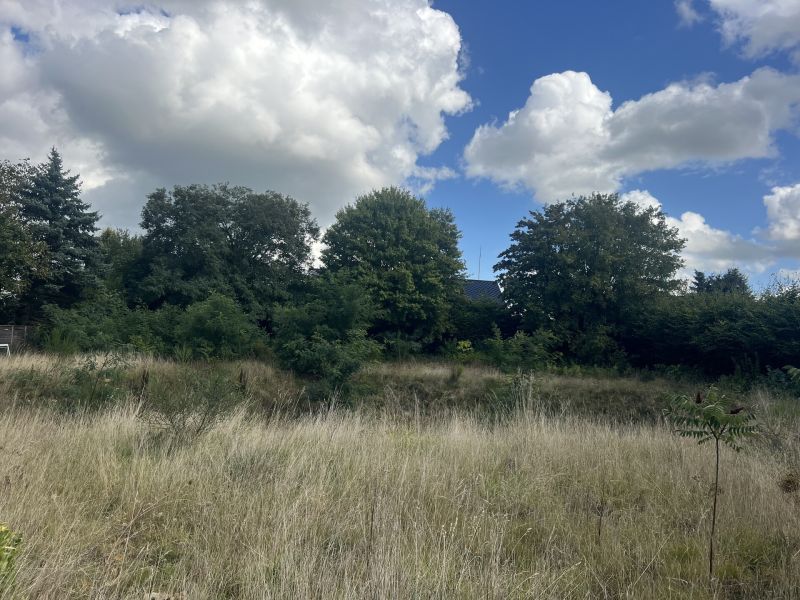 Building land to sell in Niederanven